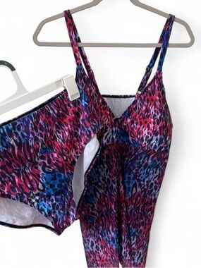 Women’s Pink & Blue Animal-Print Bikini Set